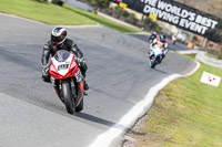 Oulton-Park-21st-March-2020;PJ-Motorsport-Photography-2020;anglesey;brands-hatch;cadwell-park;croft;donington-park;enduro-digital-images;event-digital-images;eventdigitalimages;mallory;no-limits;oulton-park;peter-wileman-photography;racing-digital-images;silverstone;snetterton;trackday-digital-images;trackday-photos;vmcc-banbury-run;welsh-2-day-enduro